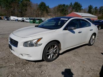  Salvage Nissan Maxima