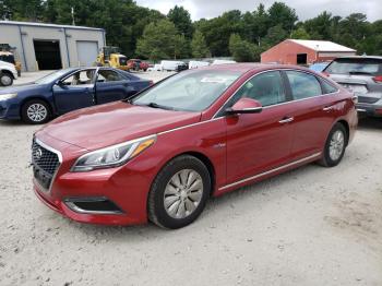  Salvage Hyundai SONATA