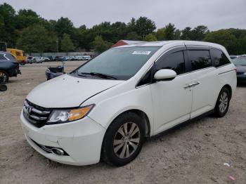  Salvage Honda Odyssey