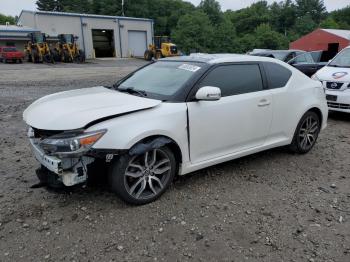  Salvage Toyota Scion