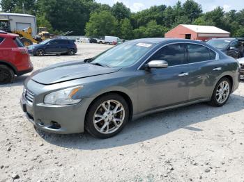  Salvage Nissan Maxima