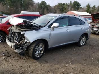  Salvage Lexus RX