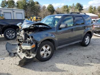  Salvage Ford Escape