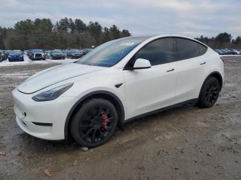  Salvage Tesla Model Y