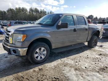  Salvage Ford F-150