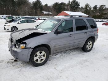  Salvage Ford Escape