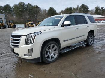  Salvage Cadillac Escalade