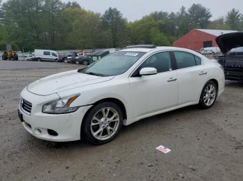  Salvage Nissan Maxima