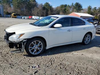  Salvage Nissan Maxima