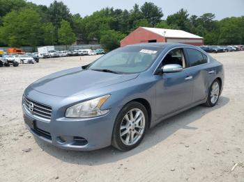  Salvage Nissan Maxima