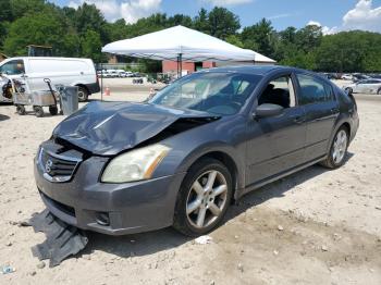  Salvage Nissan Maxima