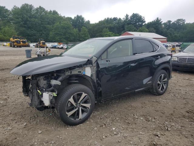  Salvage Lexus NX