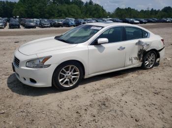  Salvage Nissan Maxima