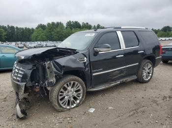  Salvage Cadillac Escalade