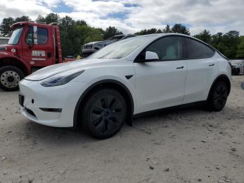  Salvage Tesla Model Y