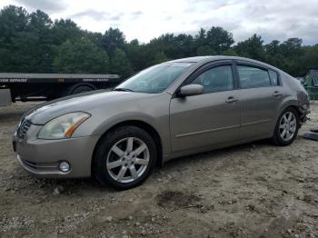  Salvage Nissan Maxima