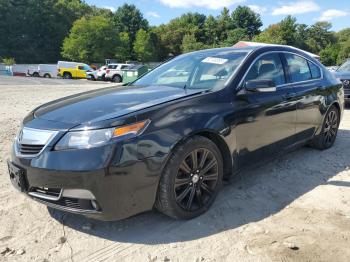  Salvage Acura TL