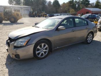  Salvage Nissan Maxima