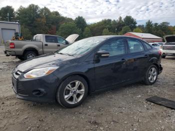  Salvage Ford Focus