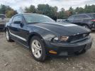 Ford Mustang Image 2