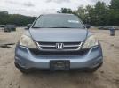 Honda Crv Lx Image 8