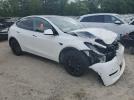 Tesla Model Y Image 6