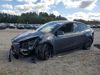  Salvage Tesla Model Y