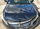 Honda Accord Lx Image 12