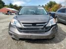 Honda Crv Lx Image 4