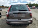 Honda Crv Lx Image 5