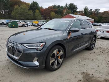  Salvage Audi e-tron