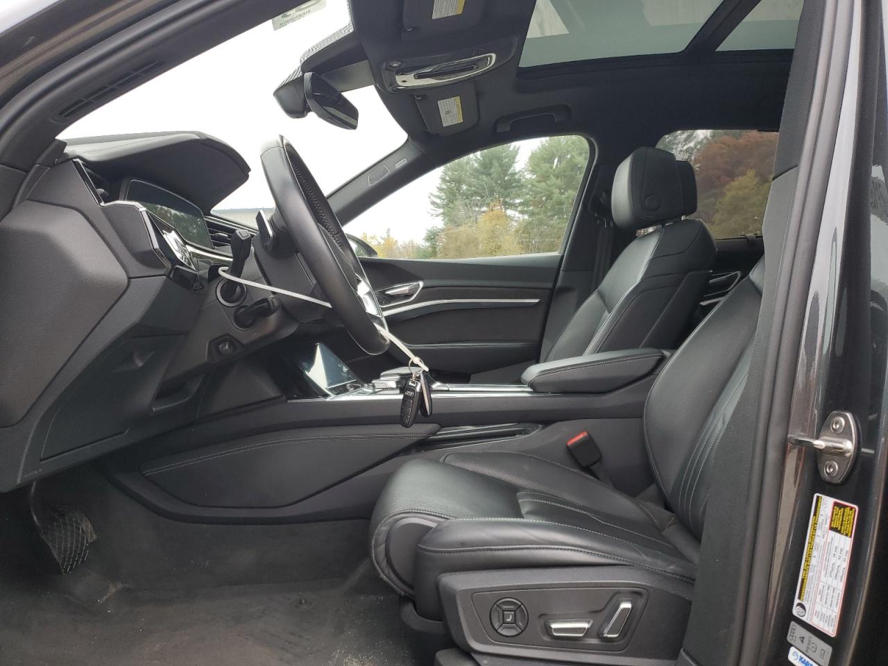 Audi e-tron Prestige Image 8