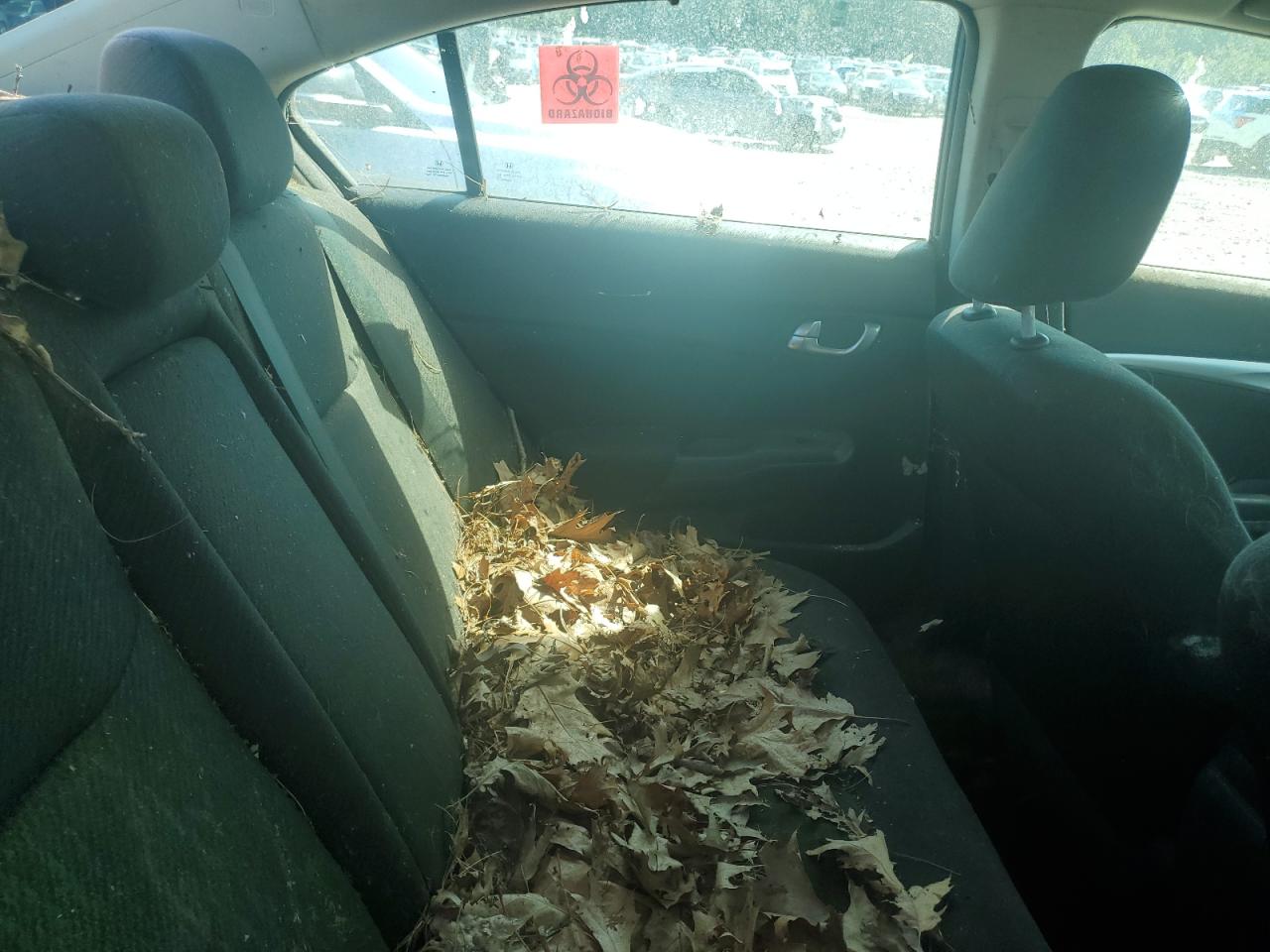 Honda Civic Ex Image 9