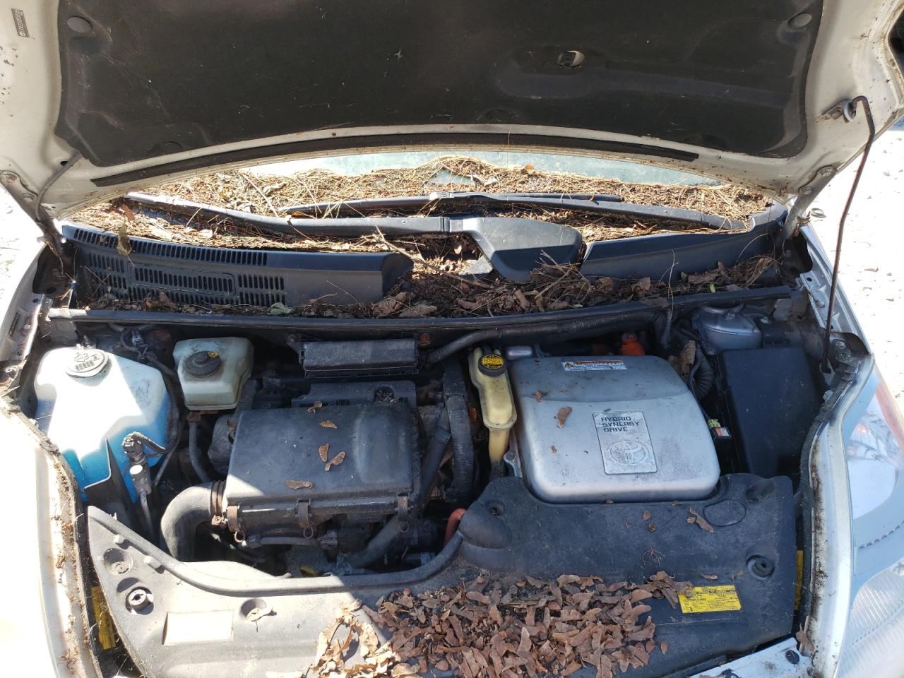 Toyota Prius Image 7