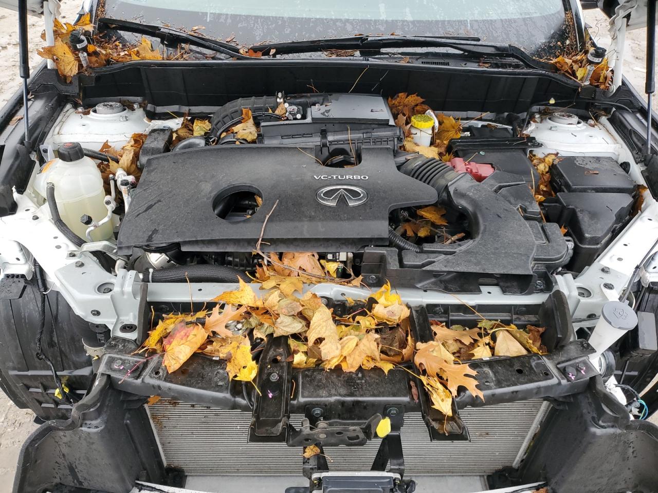 INFINITI Qx Essential Image 9