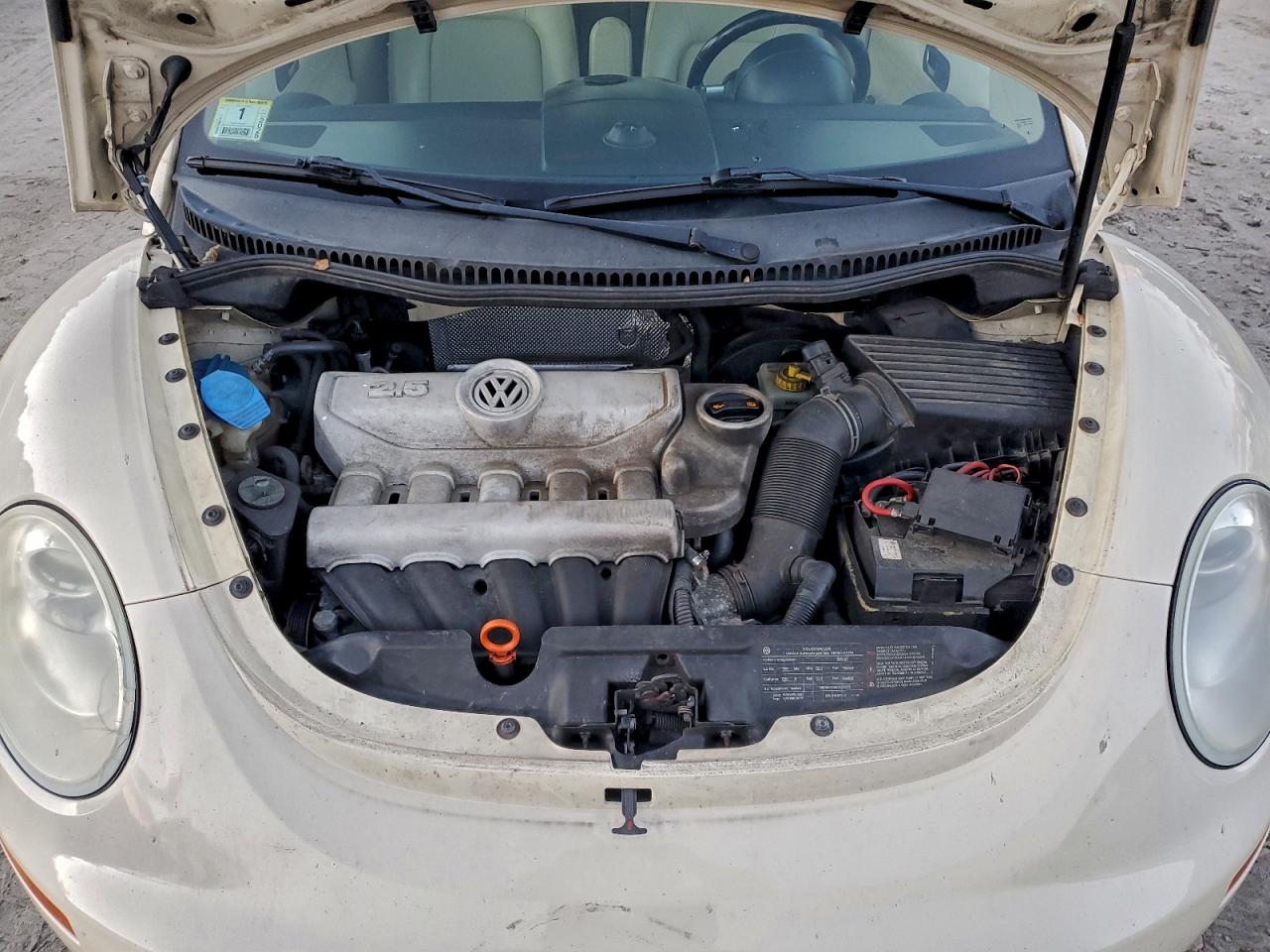 Volkswagen Beetle S Image 8