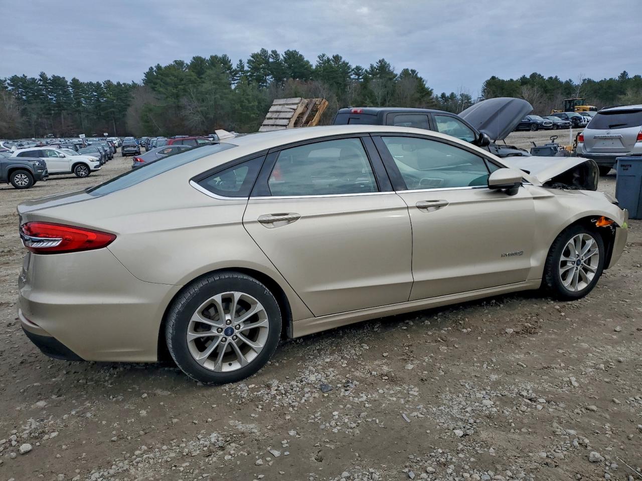 Ford Fusion Se Image 5