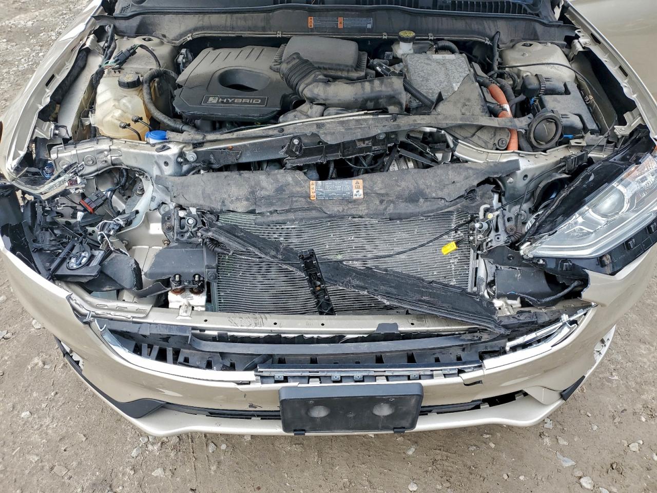 Ford Fusion Se Image 11