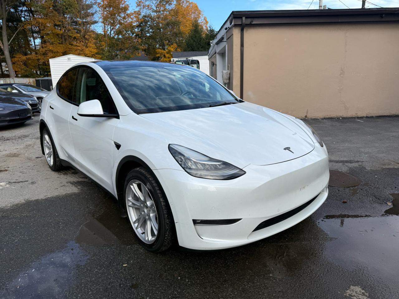 Tesla Model Y Image 1