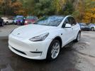 Tesla Model Y Image 10