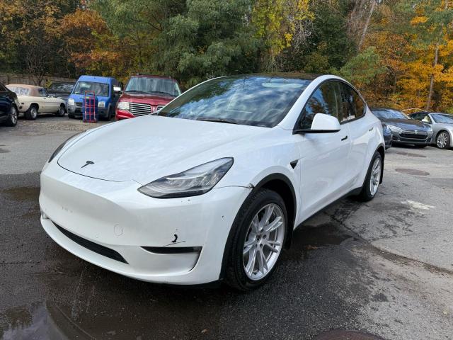 Tesla Model Y Image 10