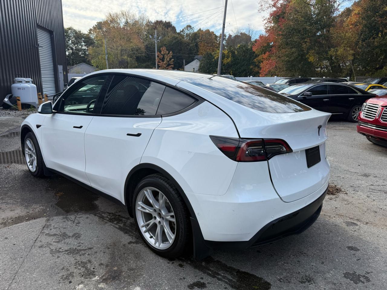 Tesla Model Y Image 6