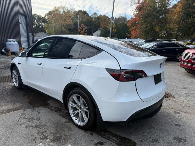 Tesla Model Y Image 6