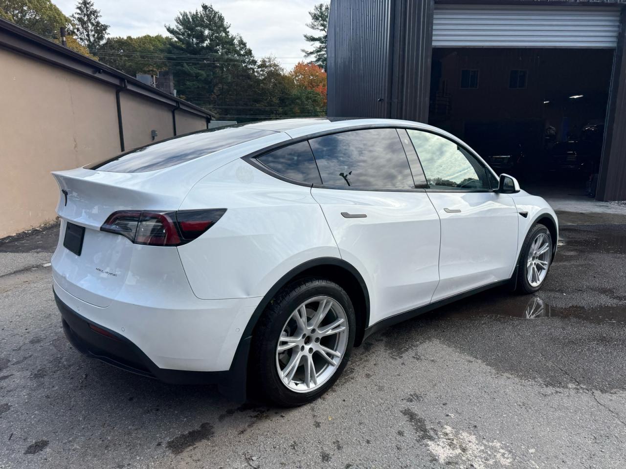Tesla Model Y Image 4