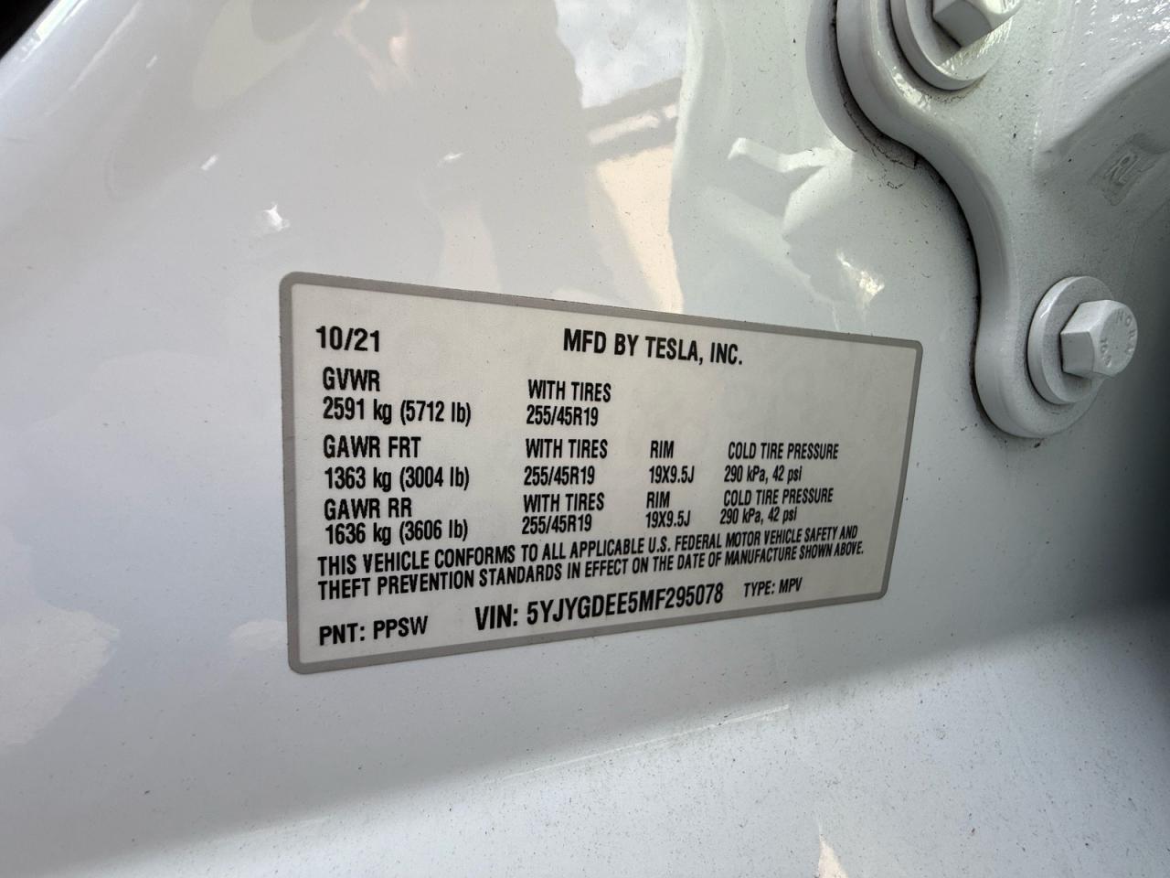 Tesla Model Y Image 5