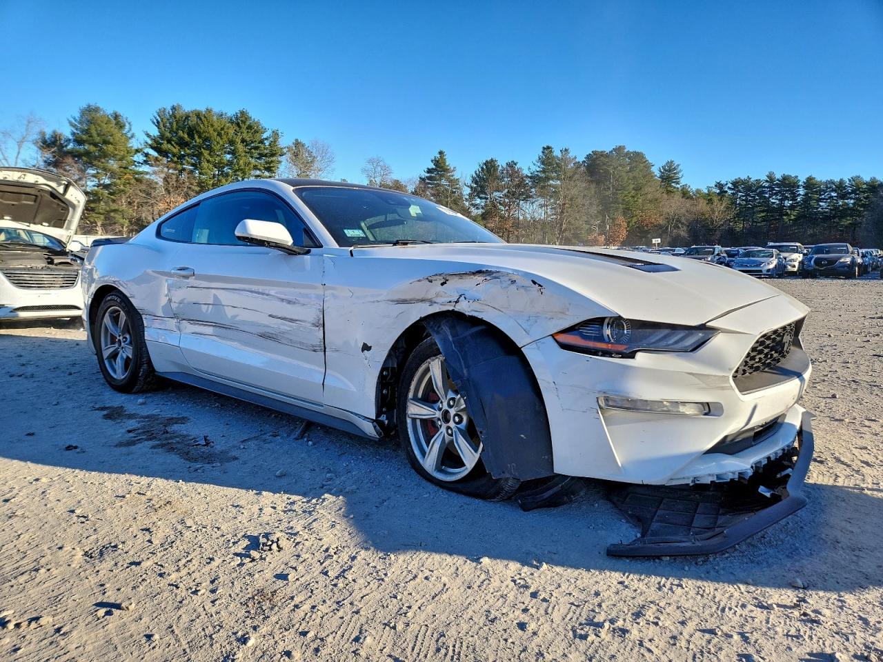 Ford Mustang Image 6