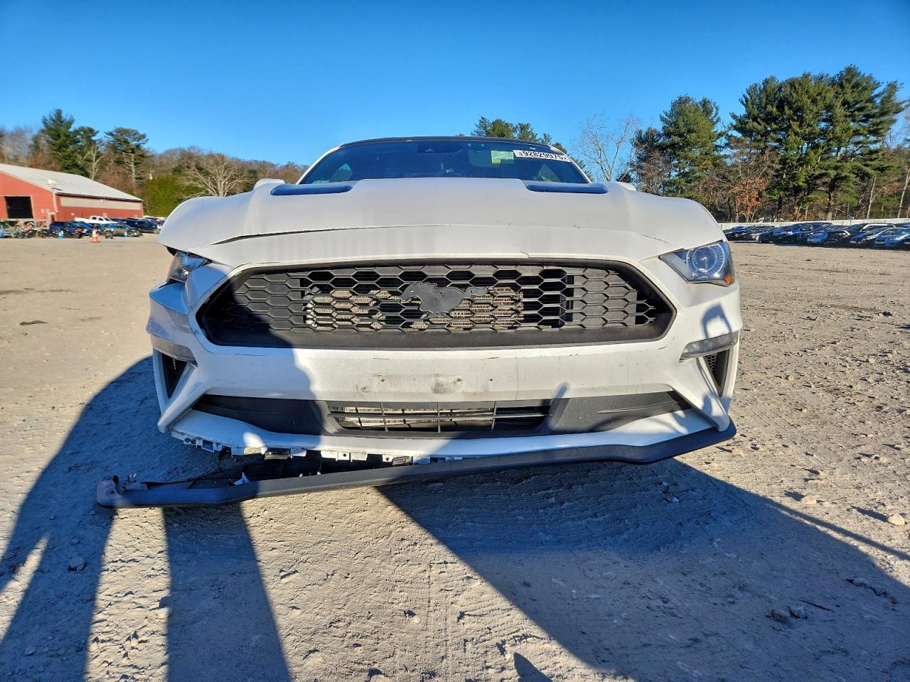 Ford Mustang Image 2