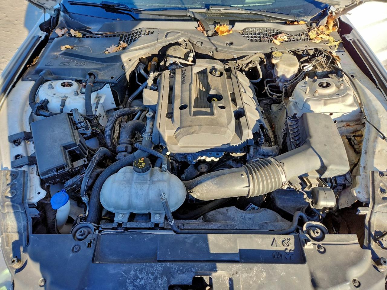 Ford Mustang Image 9