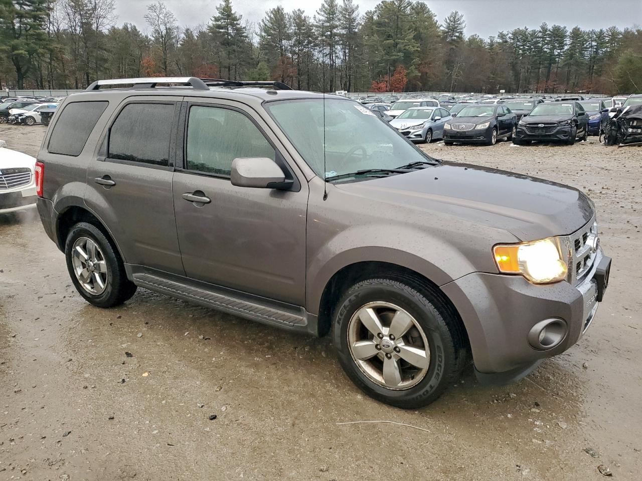 Ford Escape Limited Image 4