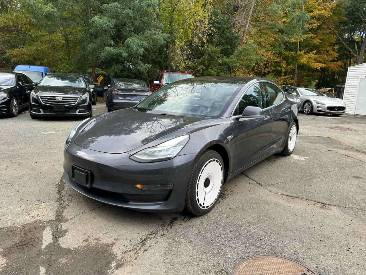 Tesla Model 3 Image 2